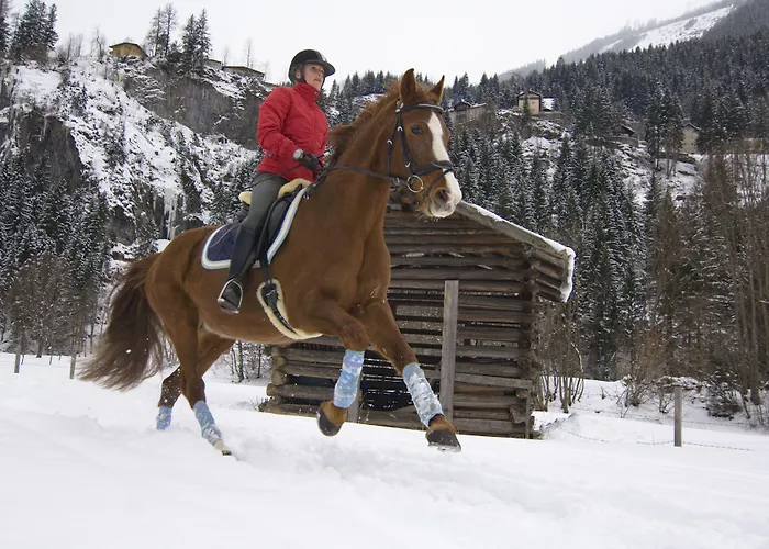 Hotel Euro Youth & Krone