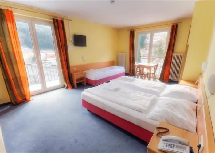 Euro Youth & Krone Hotel